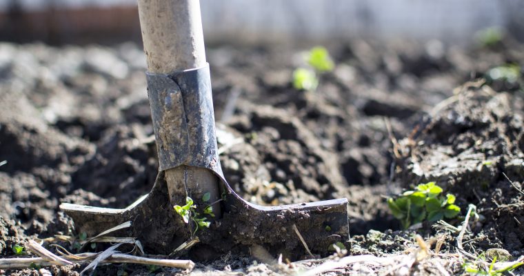 Soil Conservation in California: An analysis of the Healthy Soils Initiative