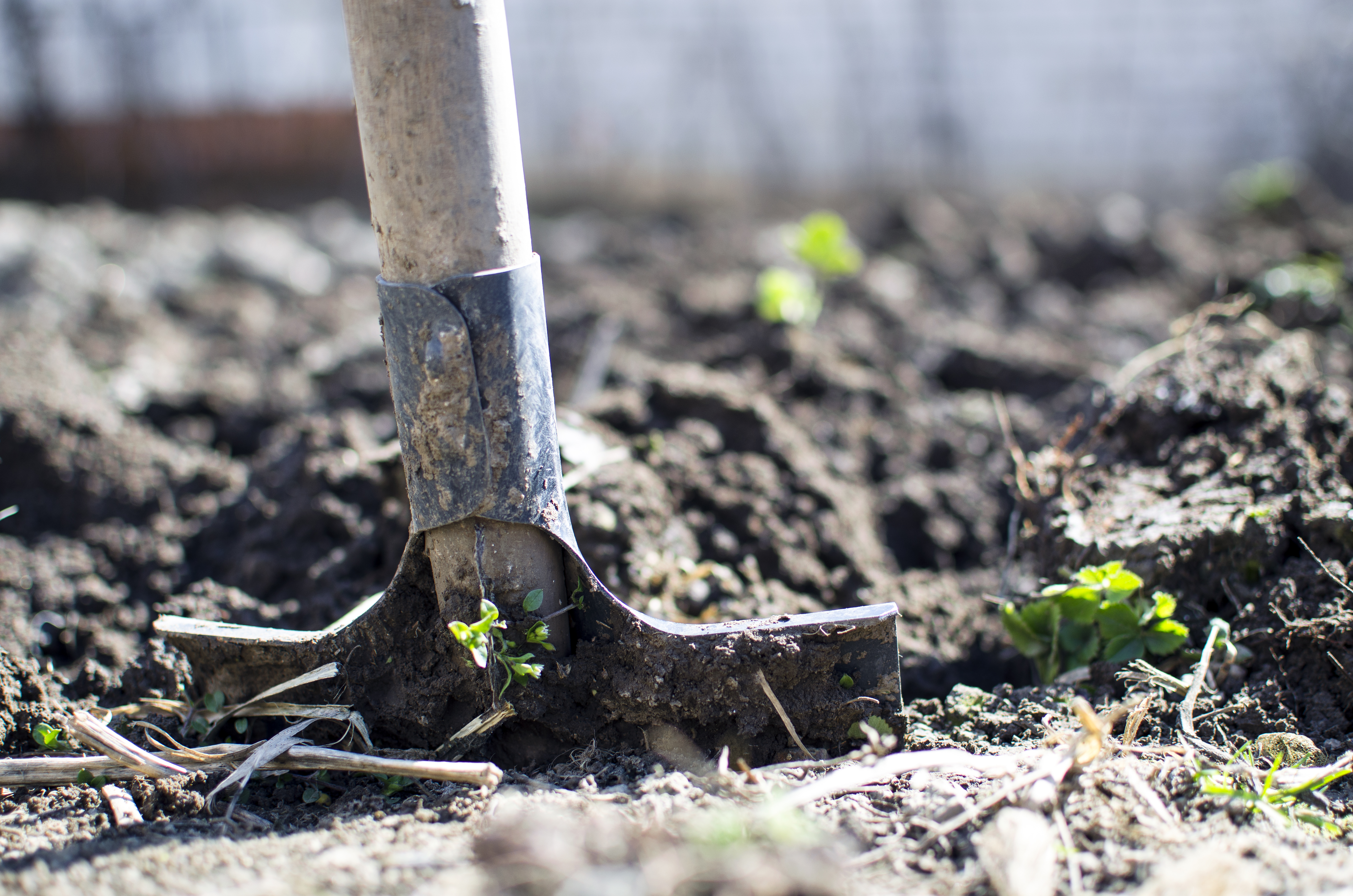 Soil Conservation in California: An analysis of the Healthy Soils Initiative
